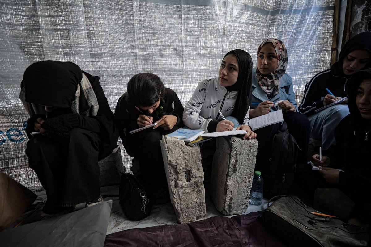 EmıneAras 🇹🇷 tweet media