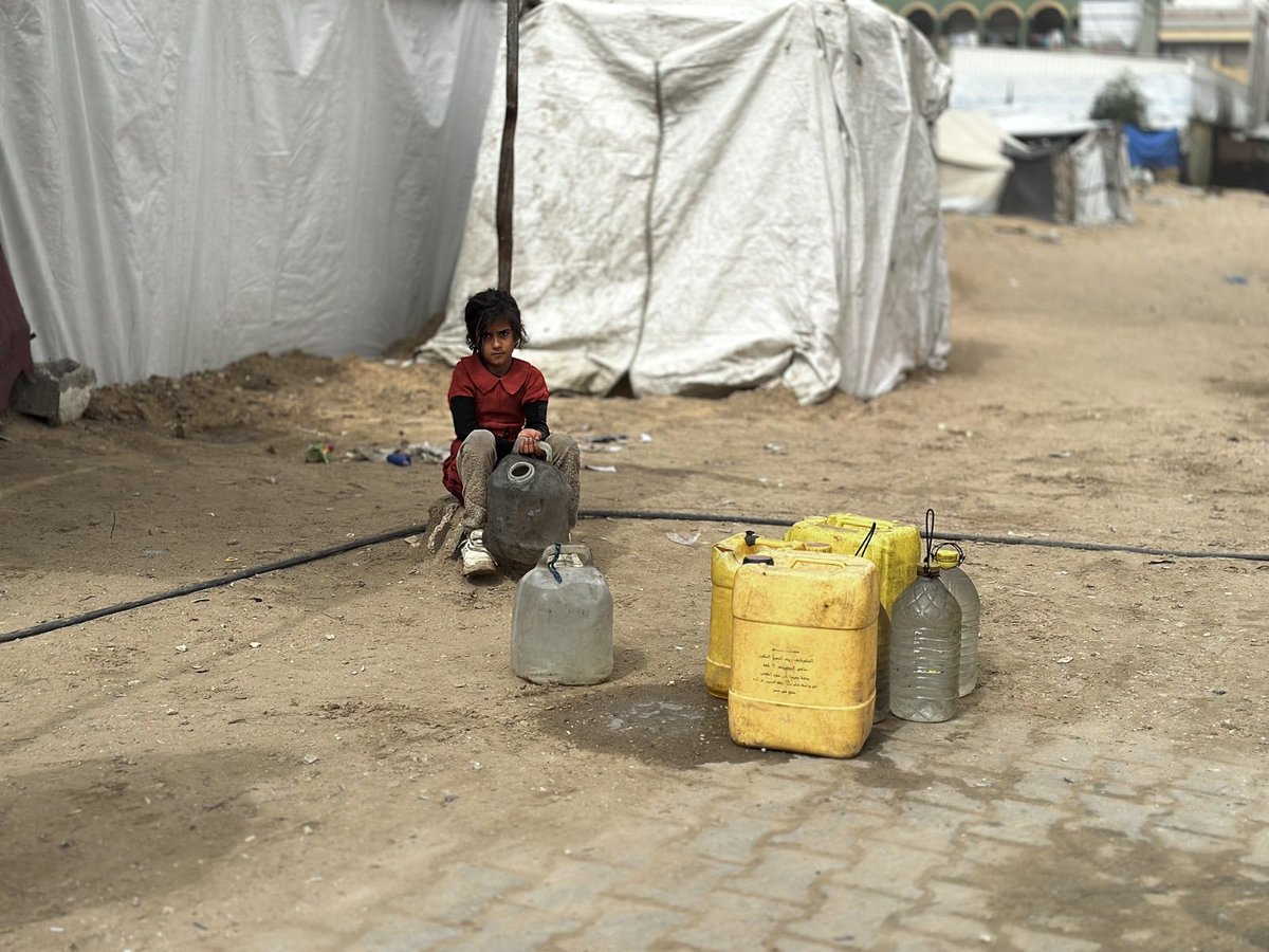 EmıneAras 🇹🇷 tweet media