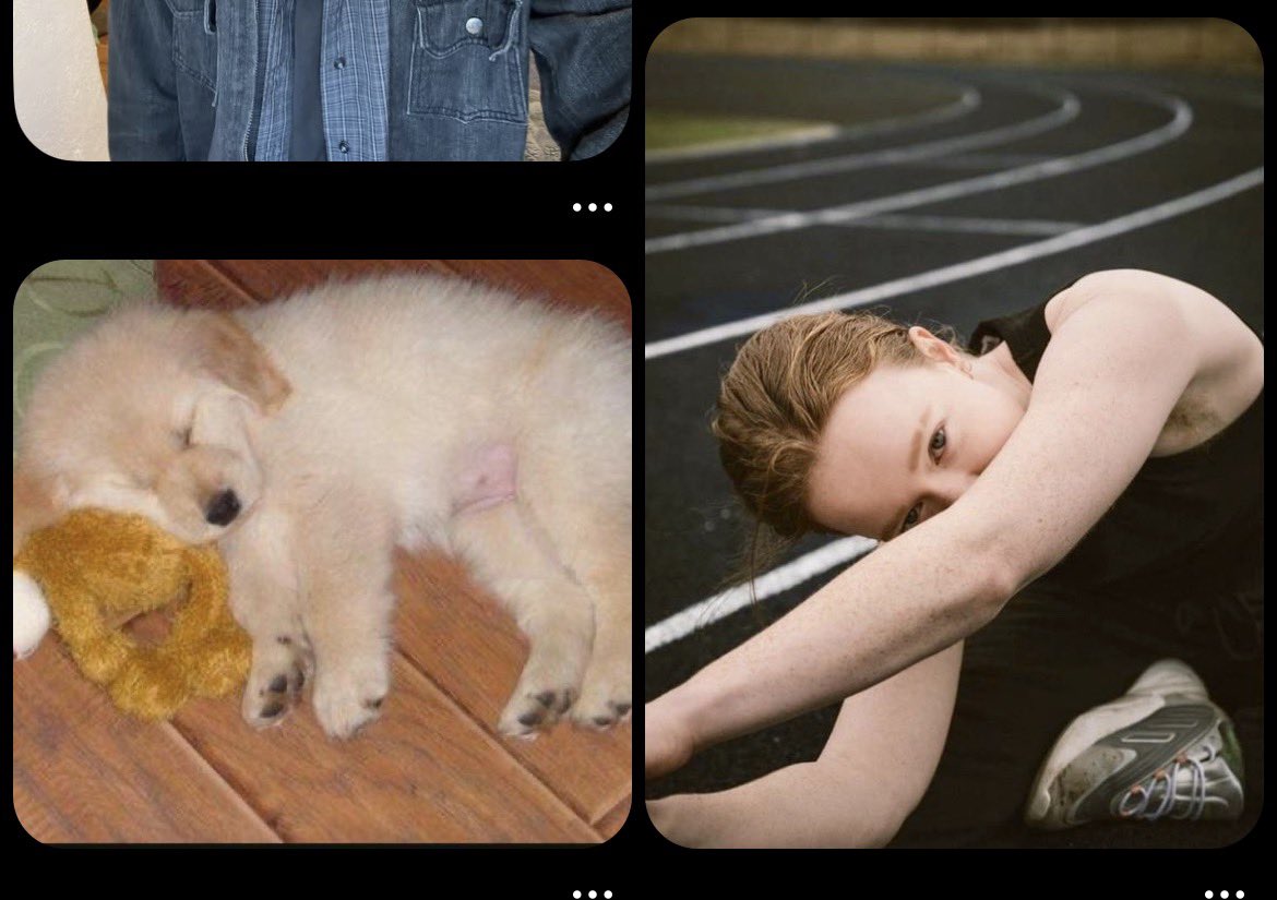 gooific's tweet image. #true