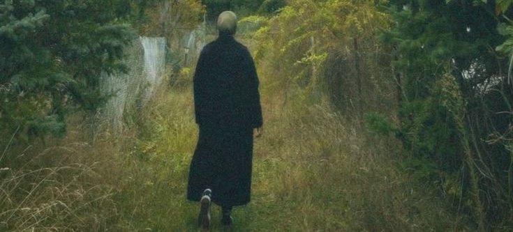 حايرونيسا tweet media