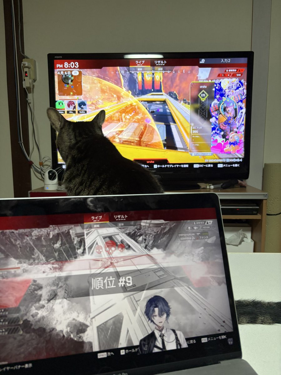 𝑴𝒊𝒚𝒖🤍ᩚ tweet media