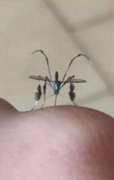 سعود tweet media