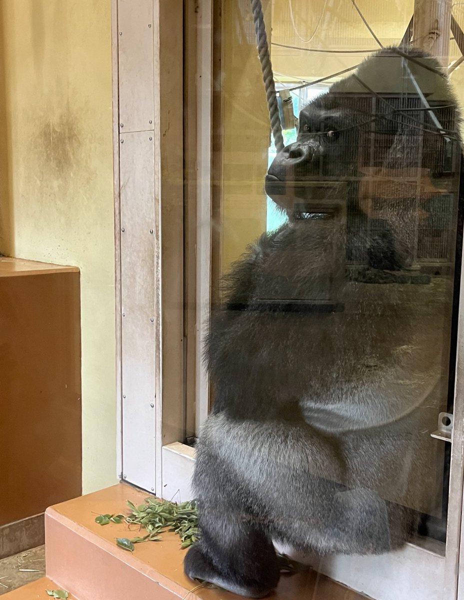 彩空⌒🌟 tweet media