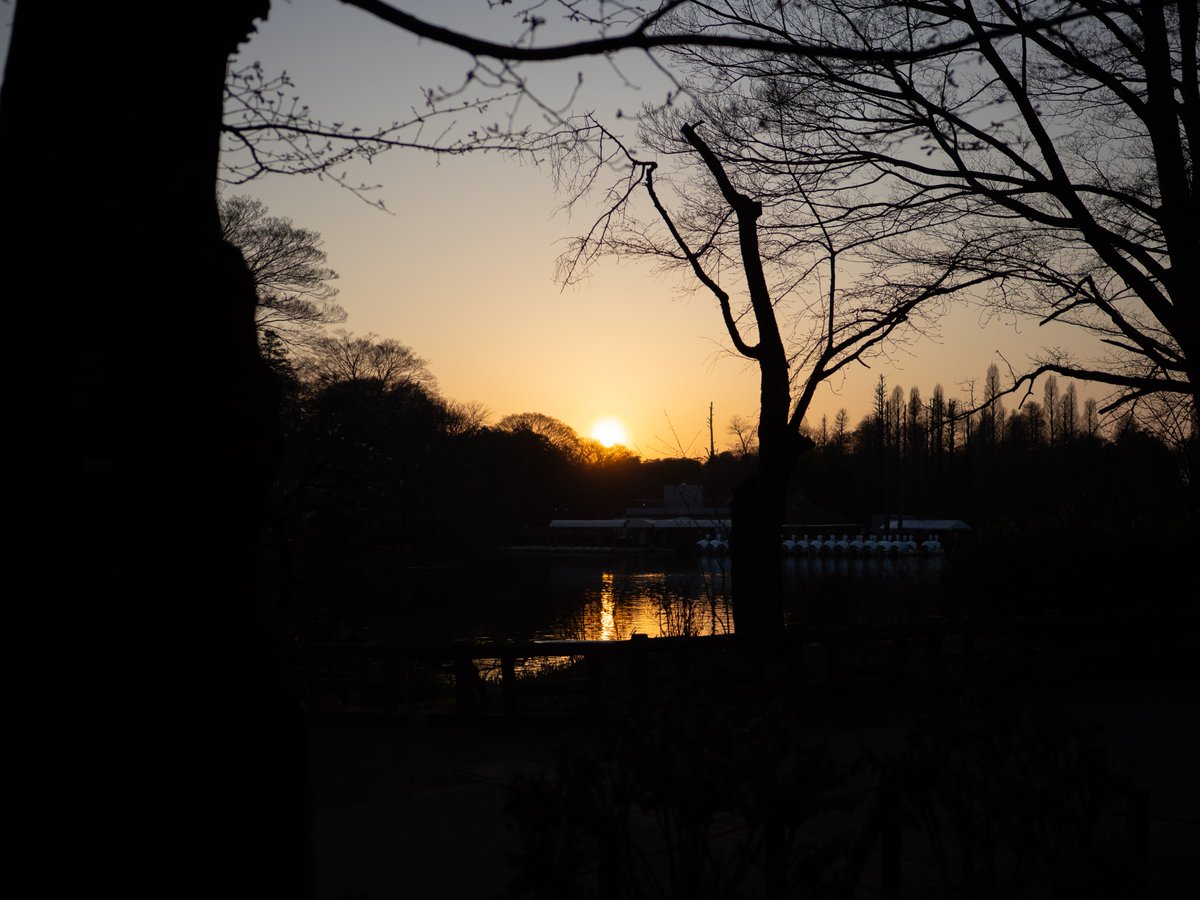 夕暮れ

#OMSYSTEM