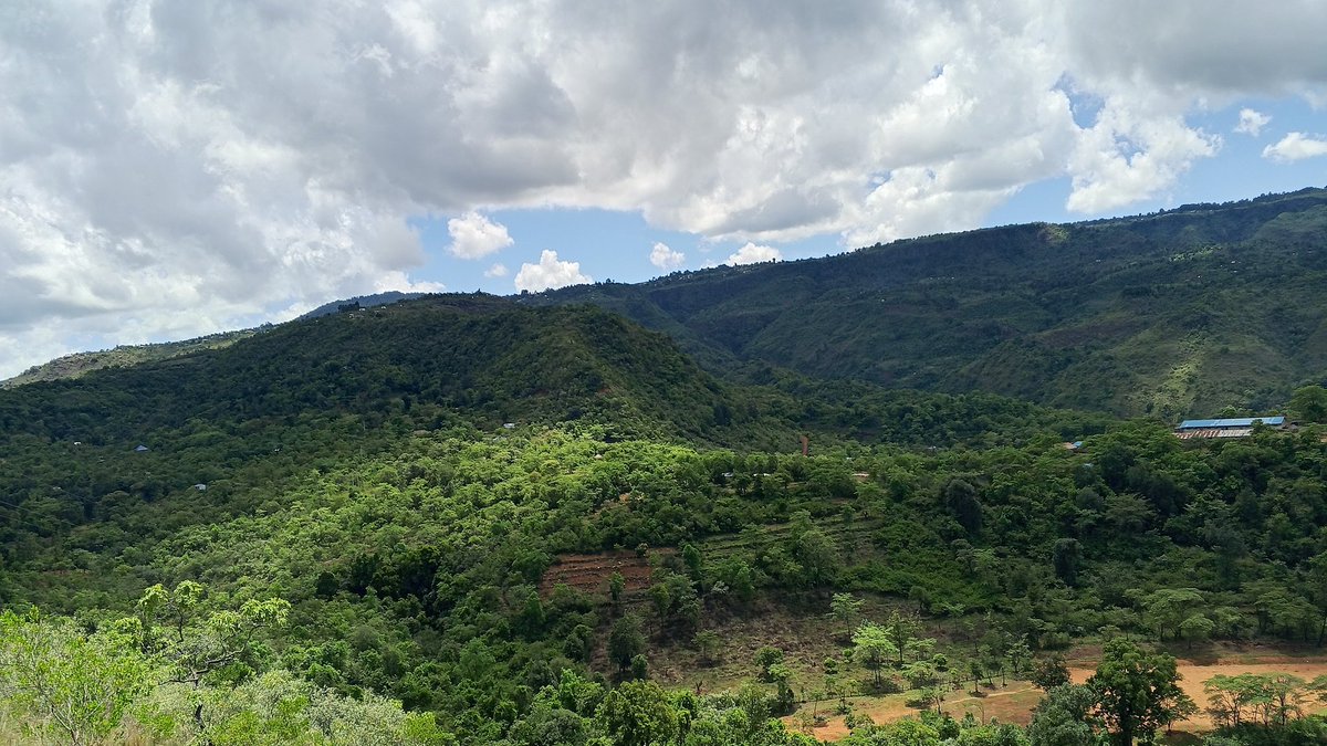 The GIS guy 🌍 tweet media