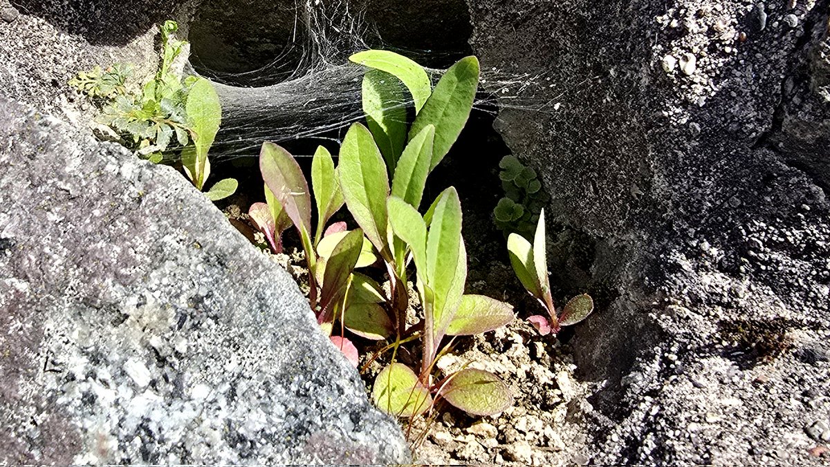 Ormuz 🕊 tweet media