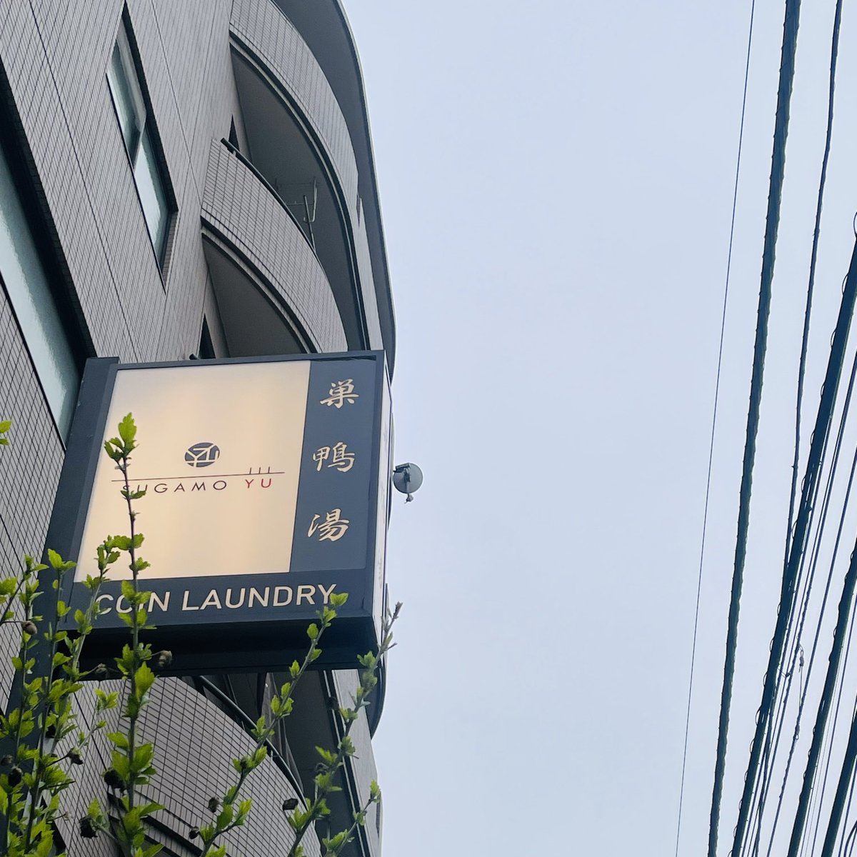 ファロ大學｜めしと珈琲 FARO｜ECHISO #204 tweet media