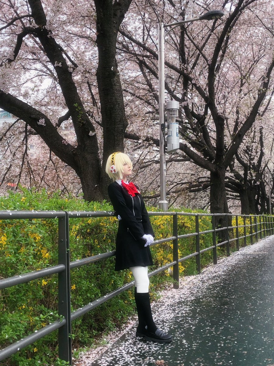 솜긷 ソムギッ tweet media