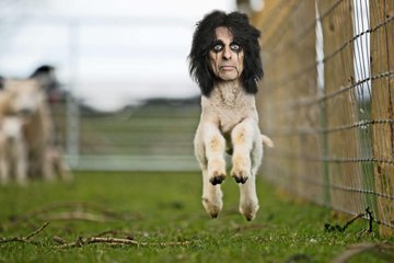 Jack Terrible tweet media