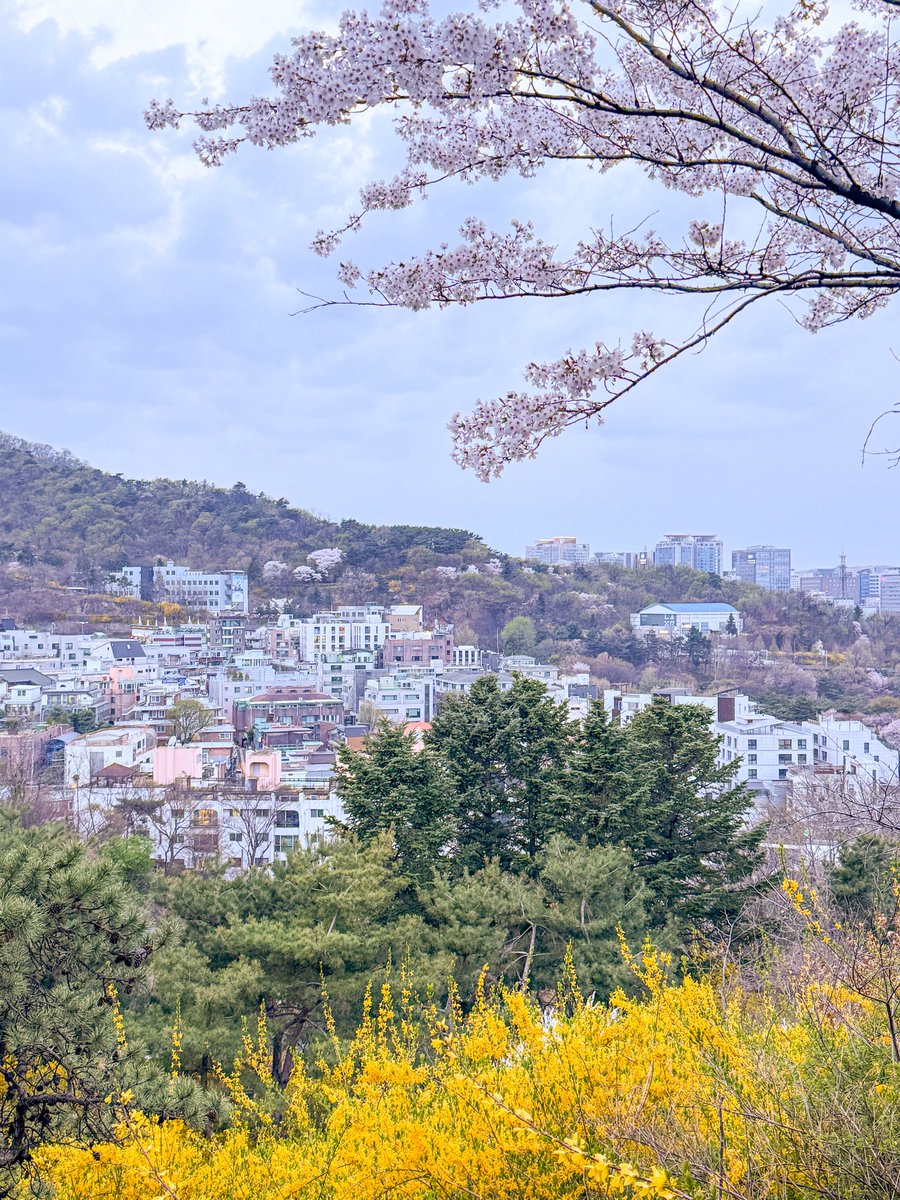 เม้าท์มอยเกาหลี tweet media