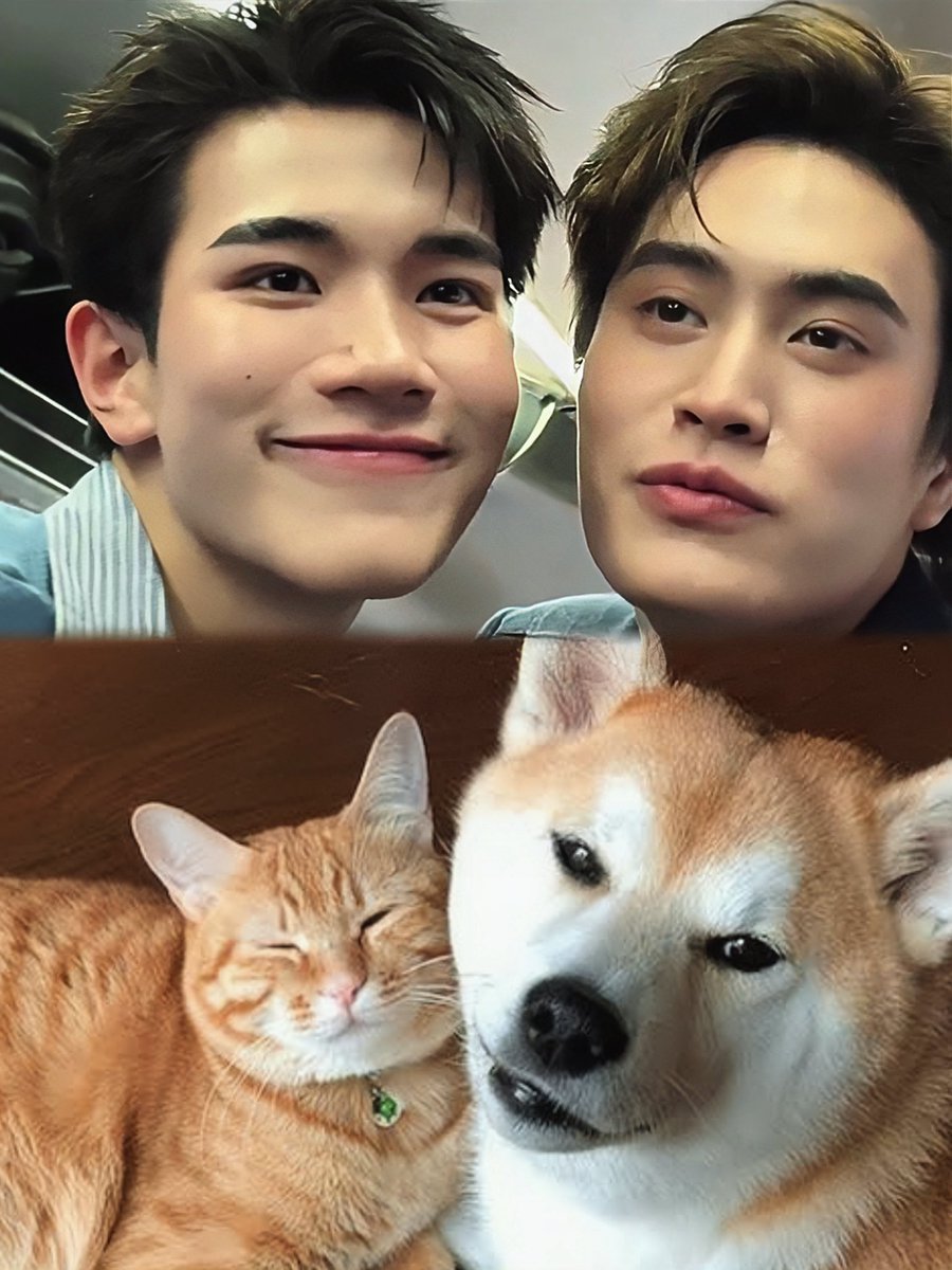 justonlyme tweet media