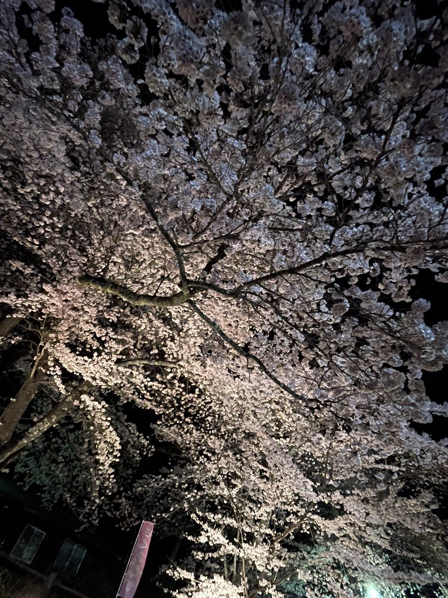 たぁとぉ〜 tweet media