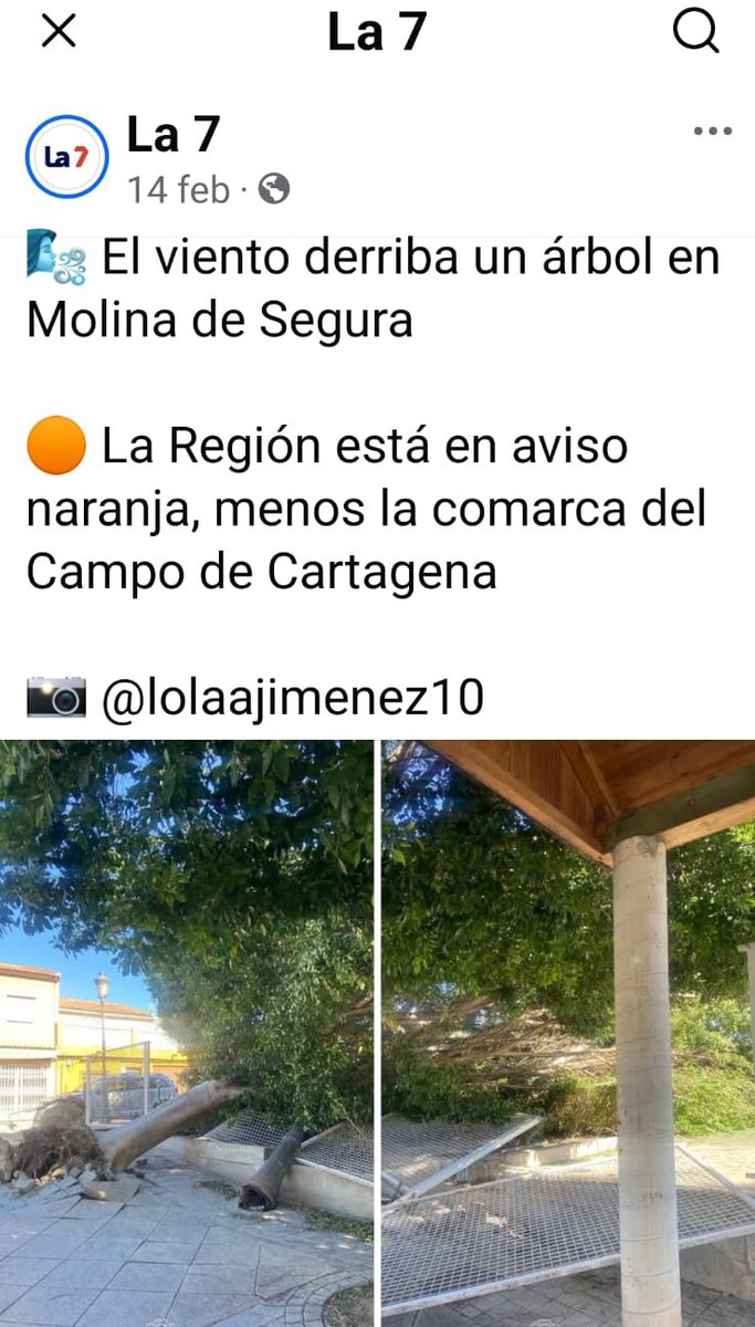 PSOE MOLINA SEGURA tweet media