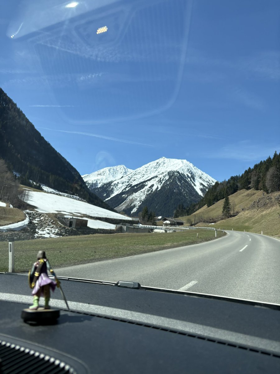 Hime ʕ·ᴥ·ʔ tweet media