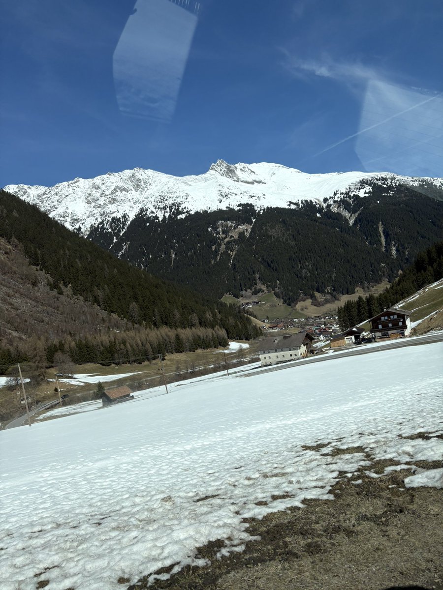 Hime ʕ·ᴥ·ʔ tweet media