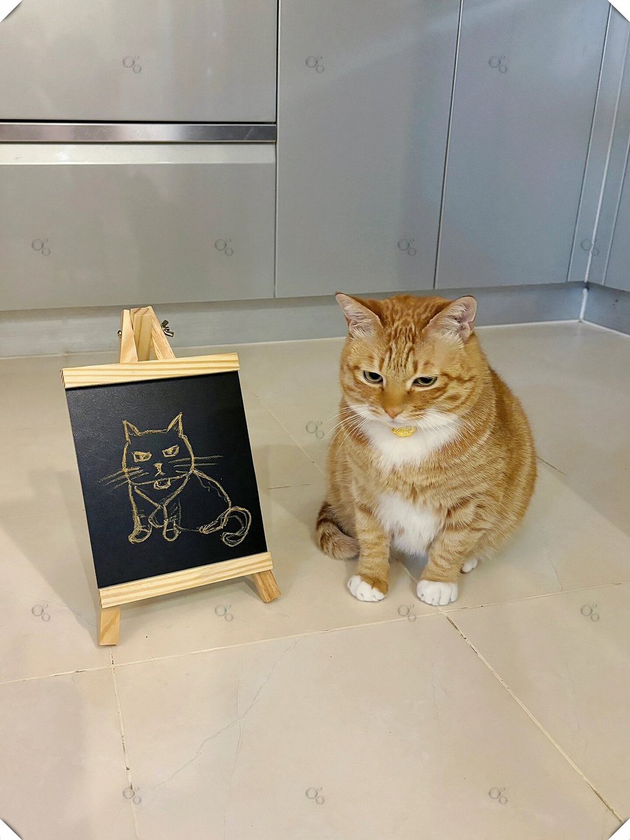 Kiwizoom's tweet photo. When you’re in a team meeting and your teammate’s cat walks in, steals the spotlight, and somehow becomes the meeting’s “action item”  #WorkFromHomeWins #CatCEO https://t.co/YqWdj2jWhk