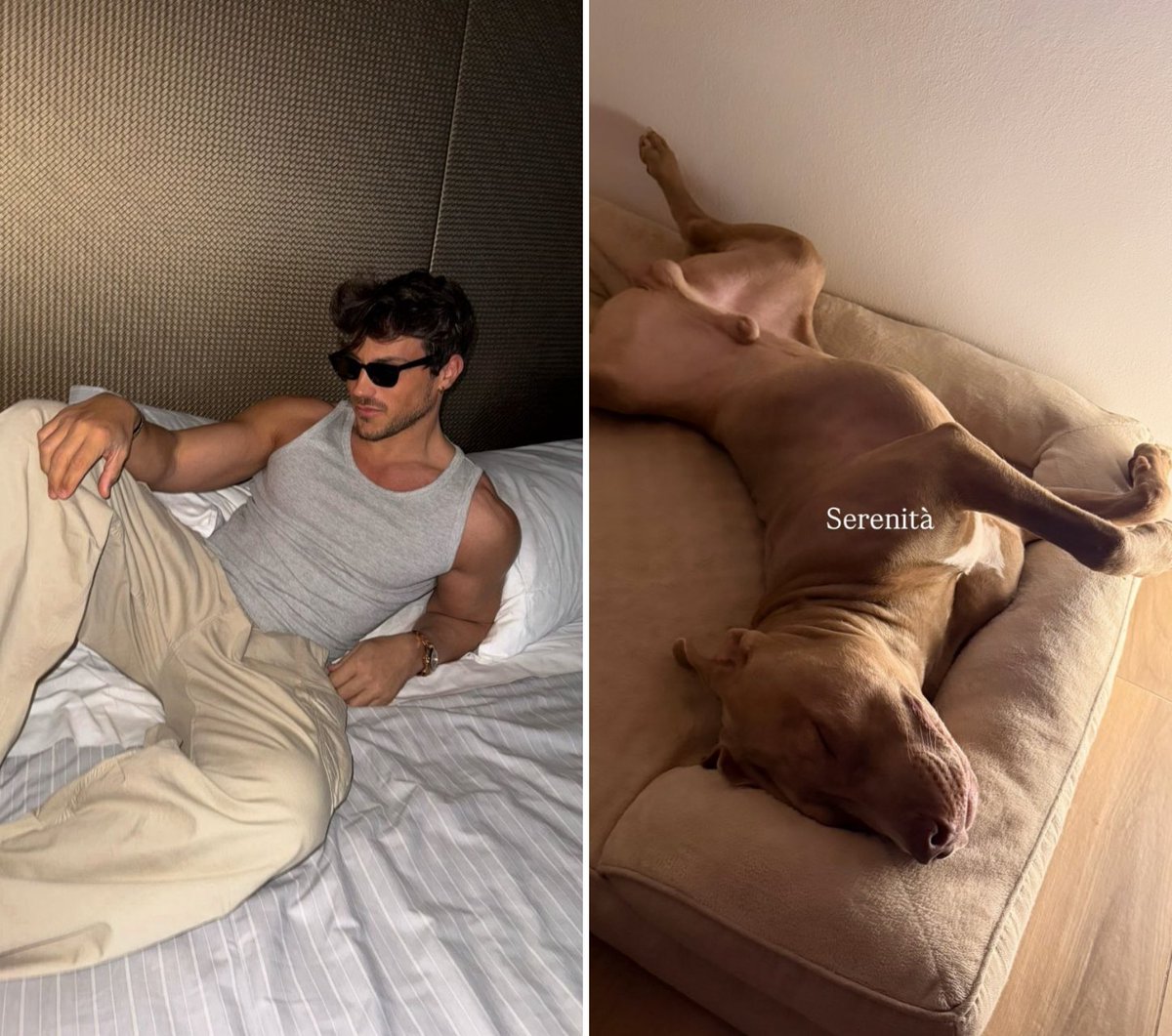 laly🐰 tweet media