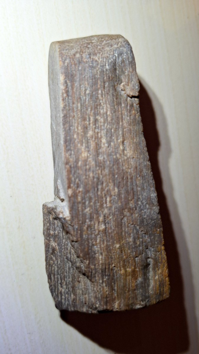 INFOMITIGASI tweet media