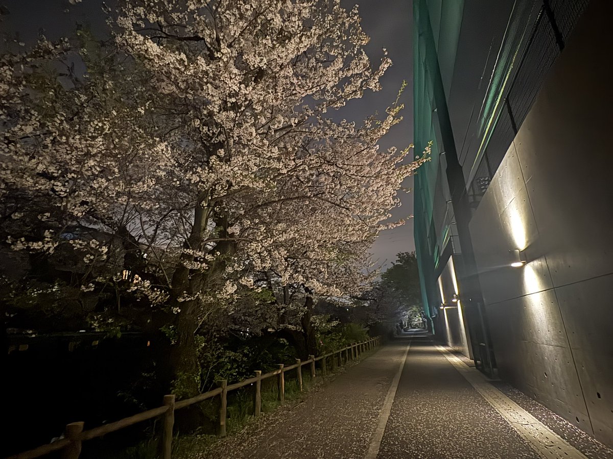 たか🍀 いのりまち町民⚓ 🎀🐾 tweet media