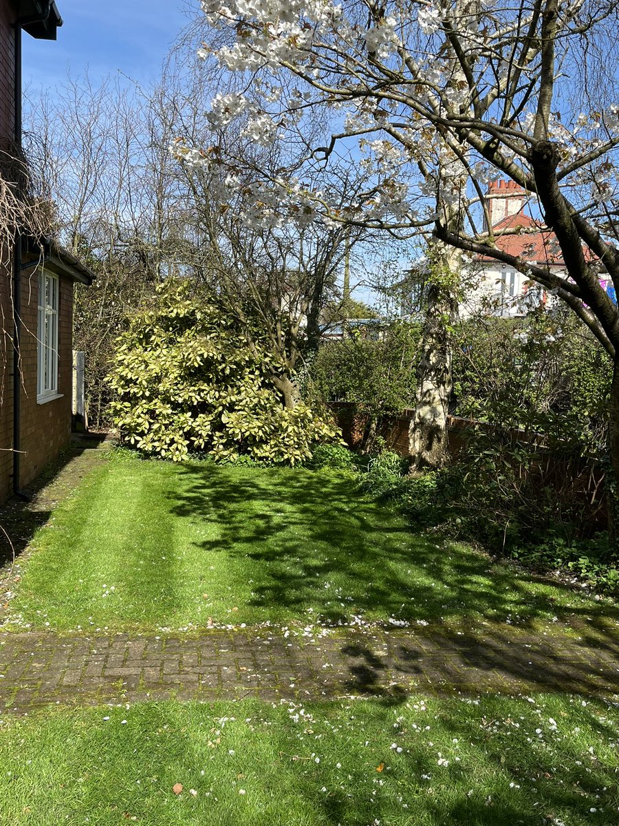 Ray Thomas tweet media