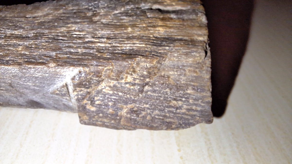 INFOMITIGASI tweet media