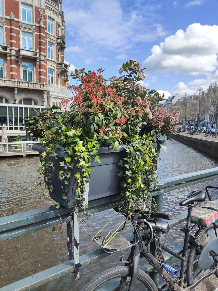 La Roxalia tweet media