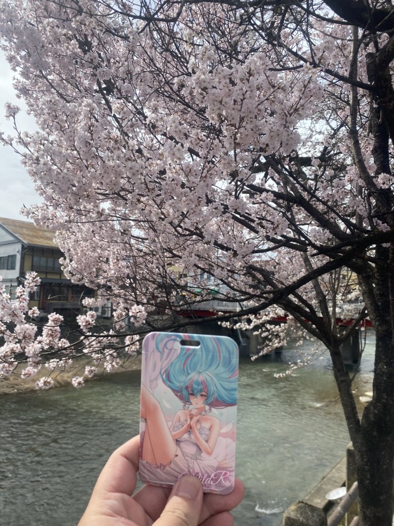 ZeroBewLL tweet media