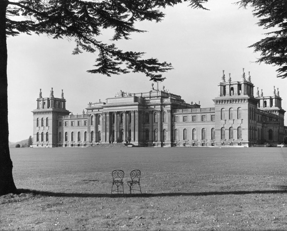 Arcady RA tweet media