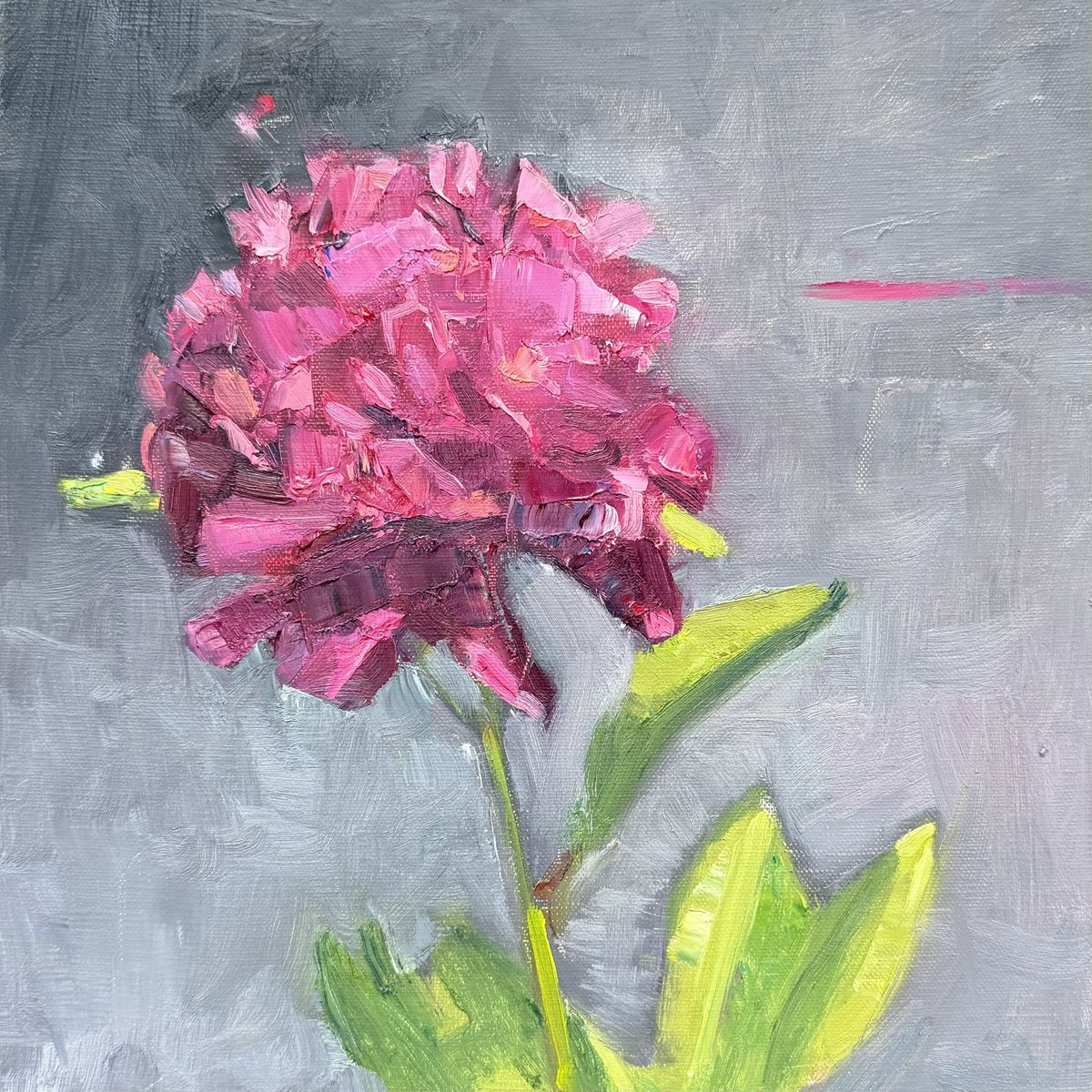 Amy DiGi tweet media