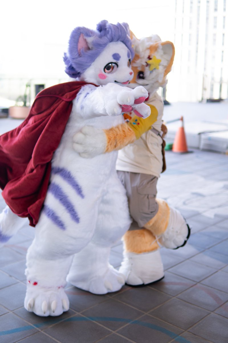 小毅喵 NekoEe ▶️ UTFG tweet media