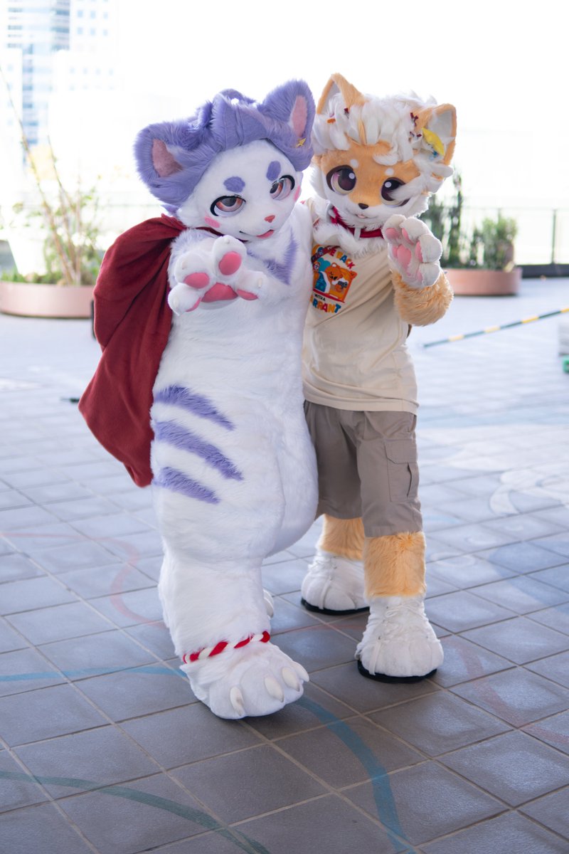 小毅喵 NekoEe ▶️ UTFG tweet media