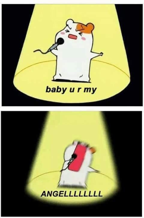 One of Lettie's rats tweet media