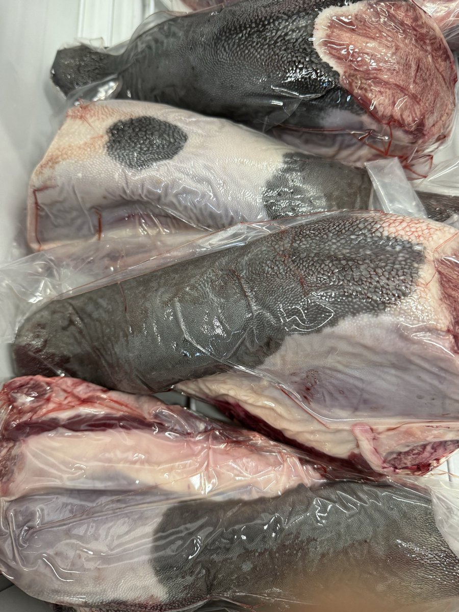 肉屋の大渕さん tweet media