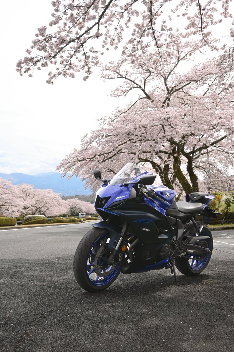 さめ🦈 tweet media