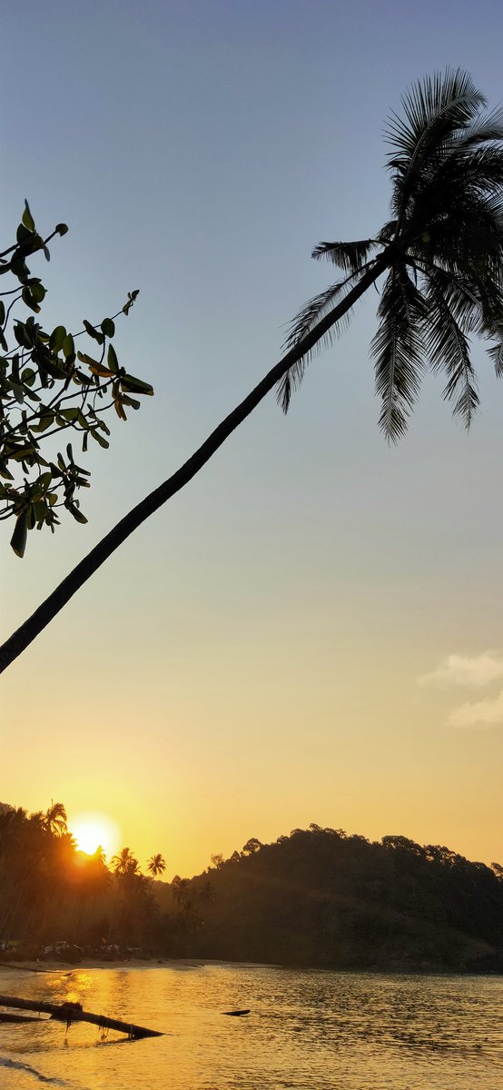 forlentino tweet media