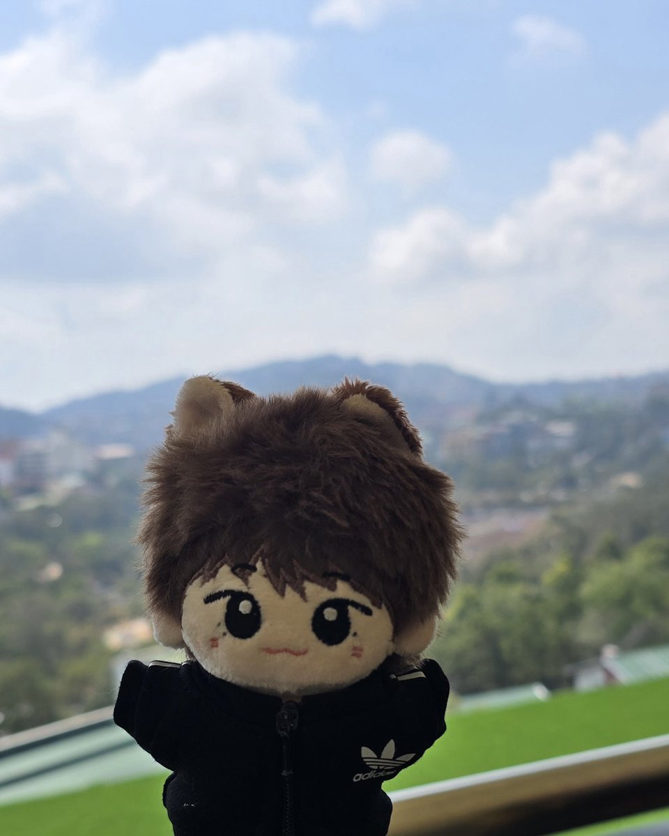 Strolling at city of pines with my cuties 🦦✨️