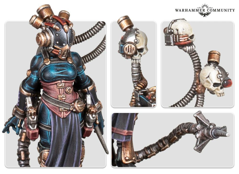 最大最強の大族長兼略奪隊長A tweet media