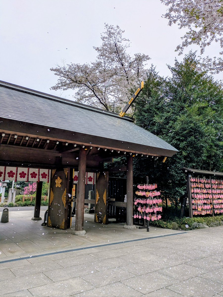 さくら吹雪🌸