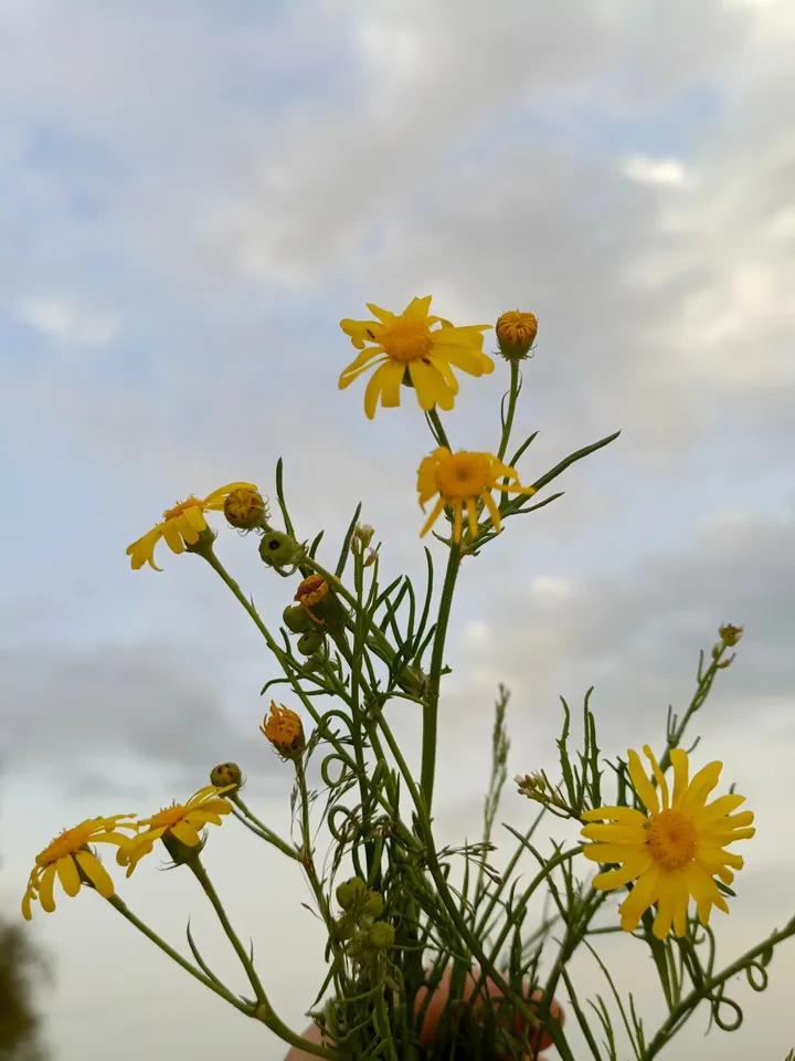 فرات✏️ tweet media