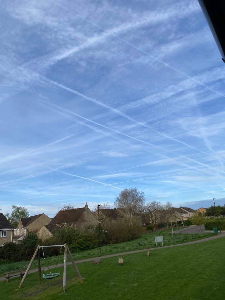 Pauline Gayner tweet media