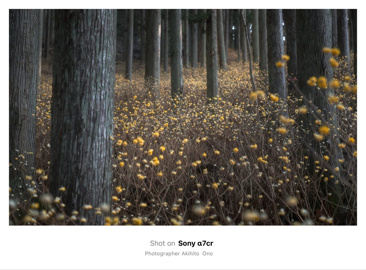 ArtBridge8 tweet media