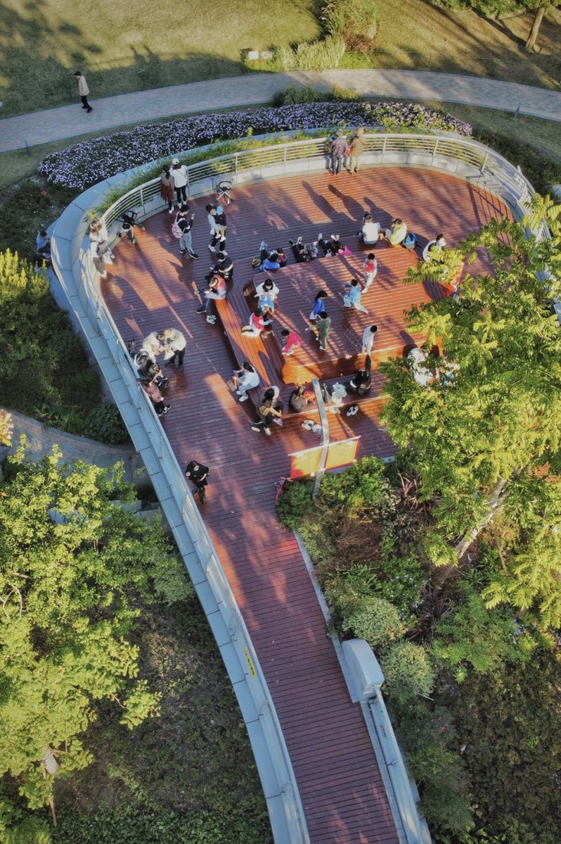 PlanoCrossing tweet media