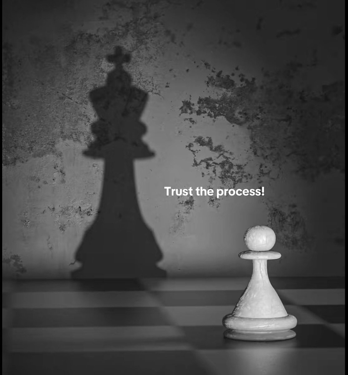 Scuba Joe tweet media