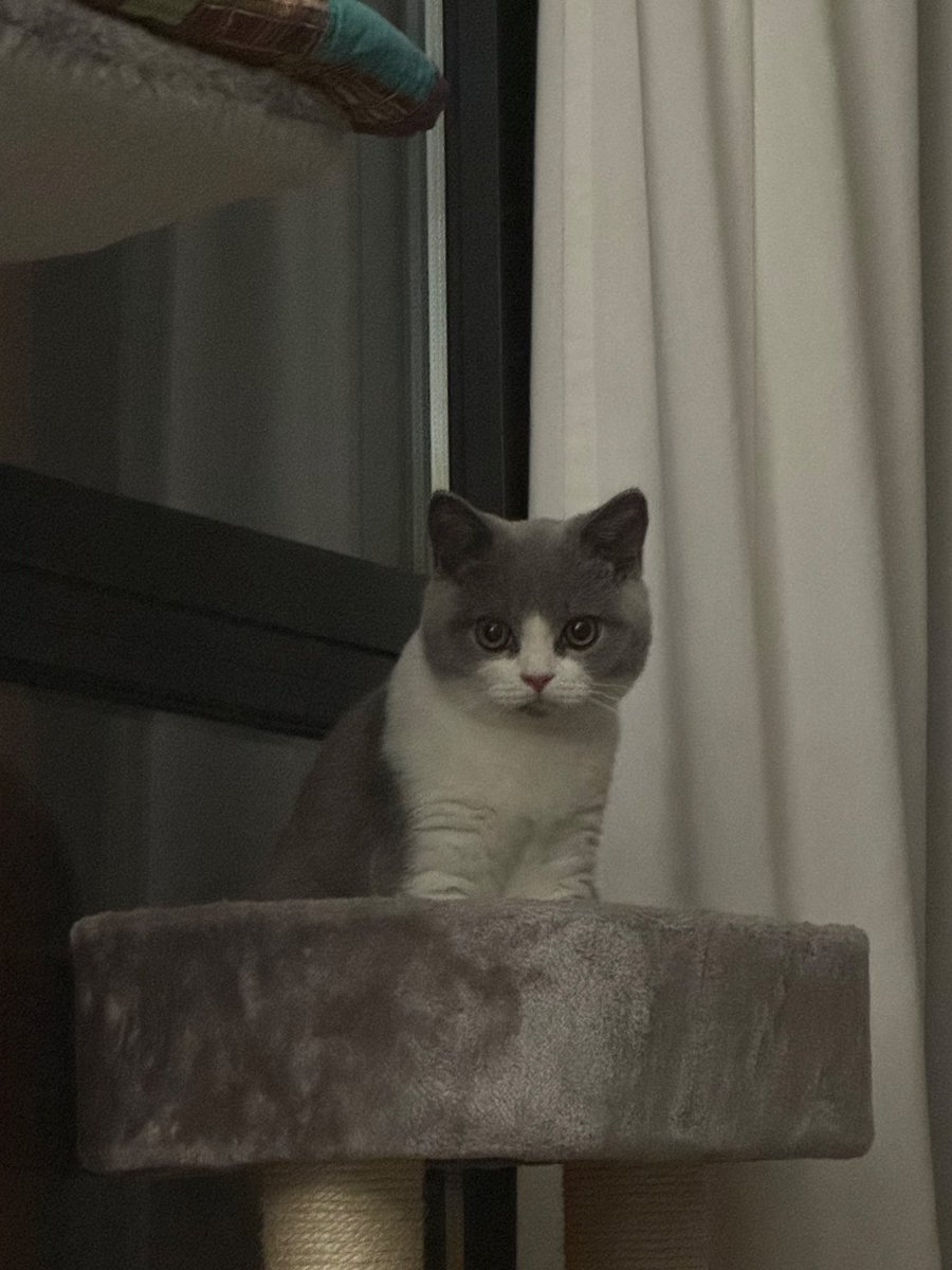 miguel :) tweet media