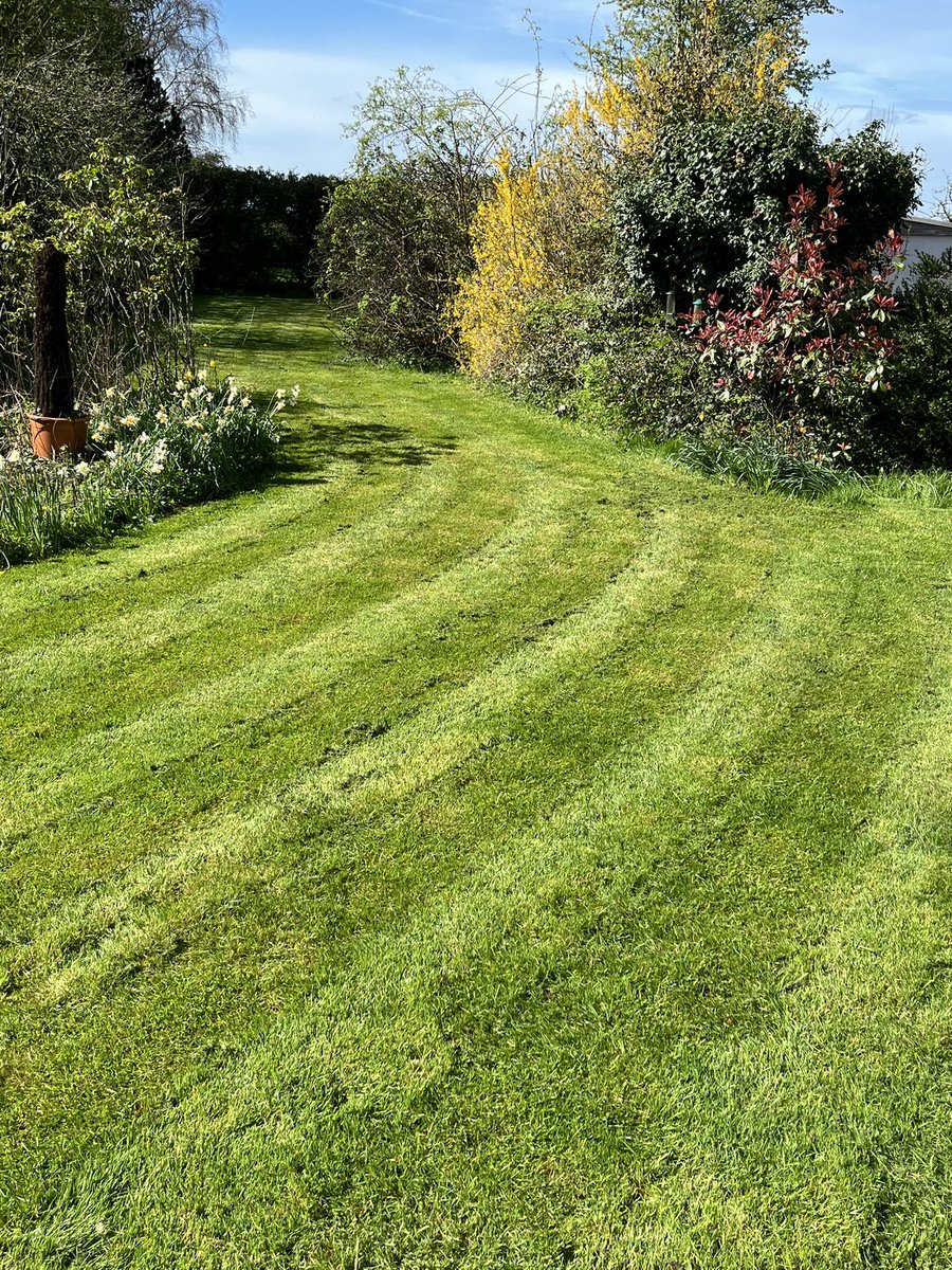 Ray Thomas tweet media