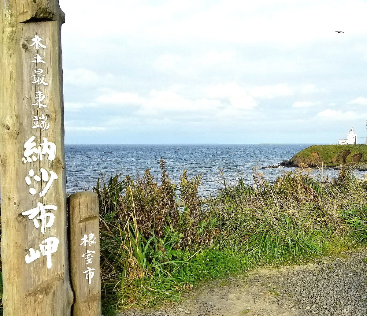 ぢぃ〜 tweet media