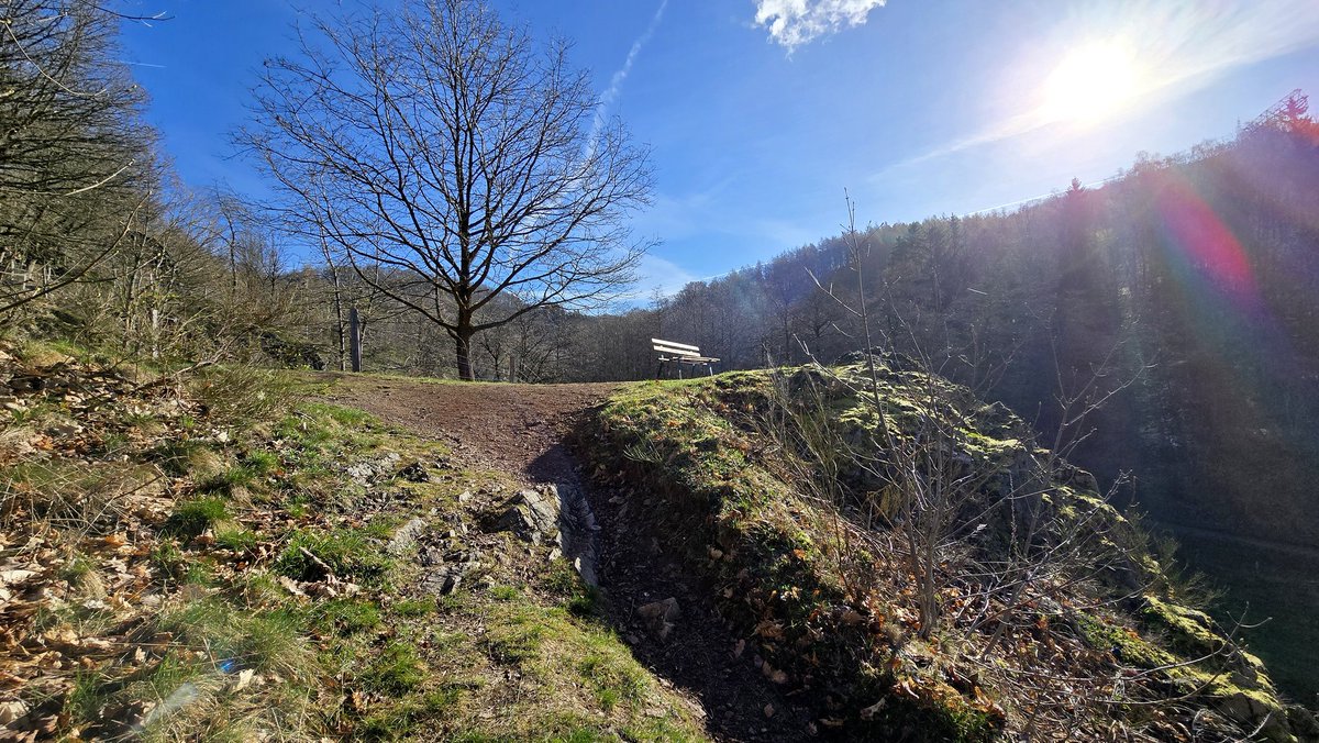 Ormuz 🕊 tweet media