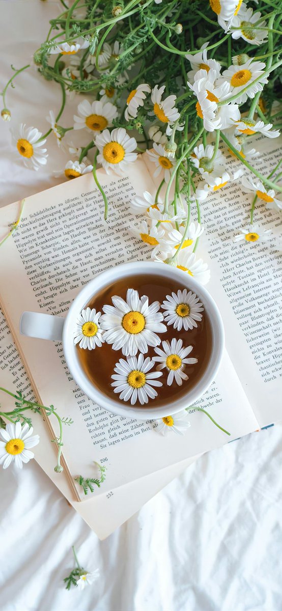 Kristoffer Schneider tweet media