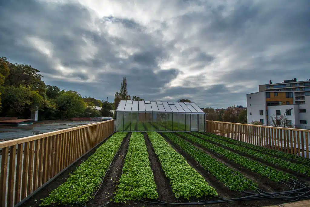 Give A Shit About Nature tweet media