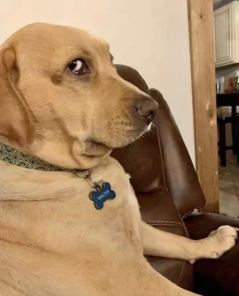 Craig S 💛💙 tweet media